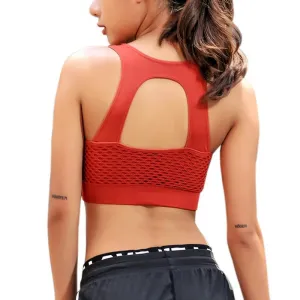 Hollow Out Mesh Sexy Padded Sports Bra