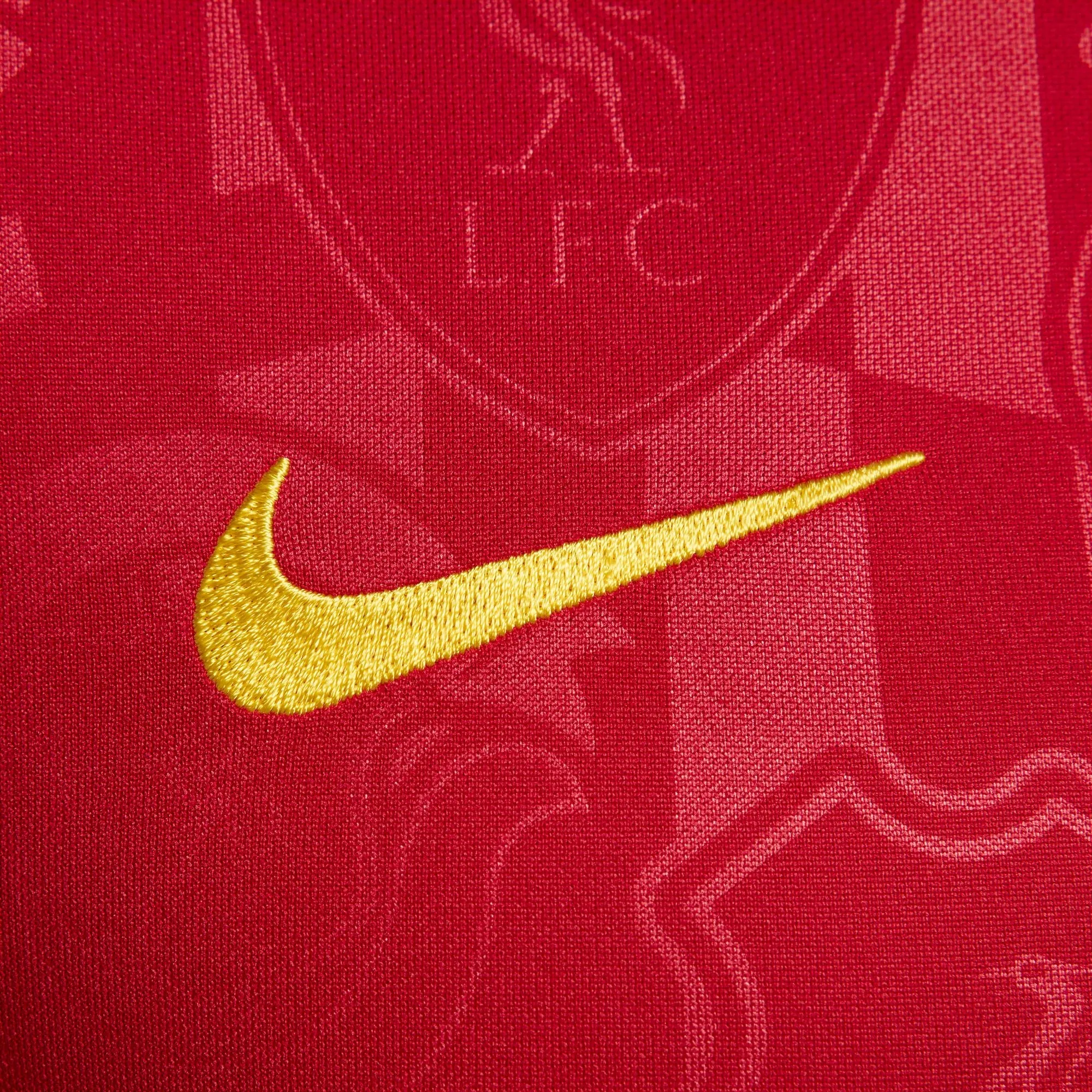 Nike Liverpool FC 2024/25 Academy Pro Pre-Match Jersey