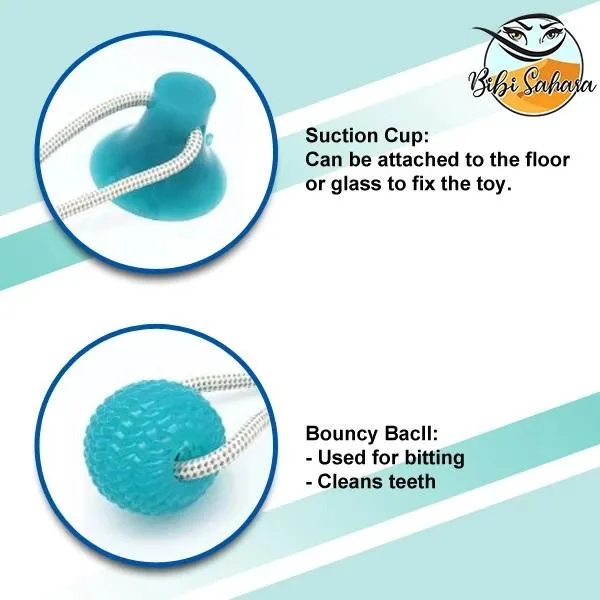 Suction Cup Pet Toy