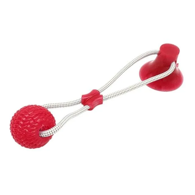 Suction Cup Pet Toy